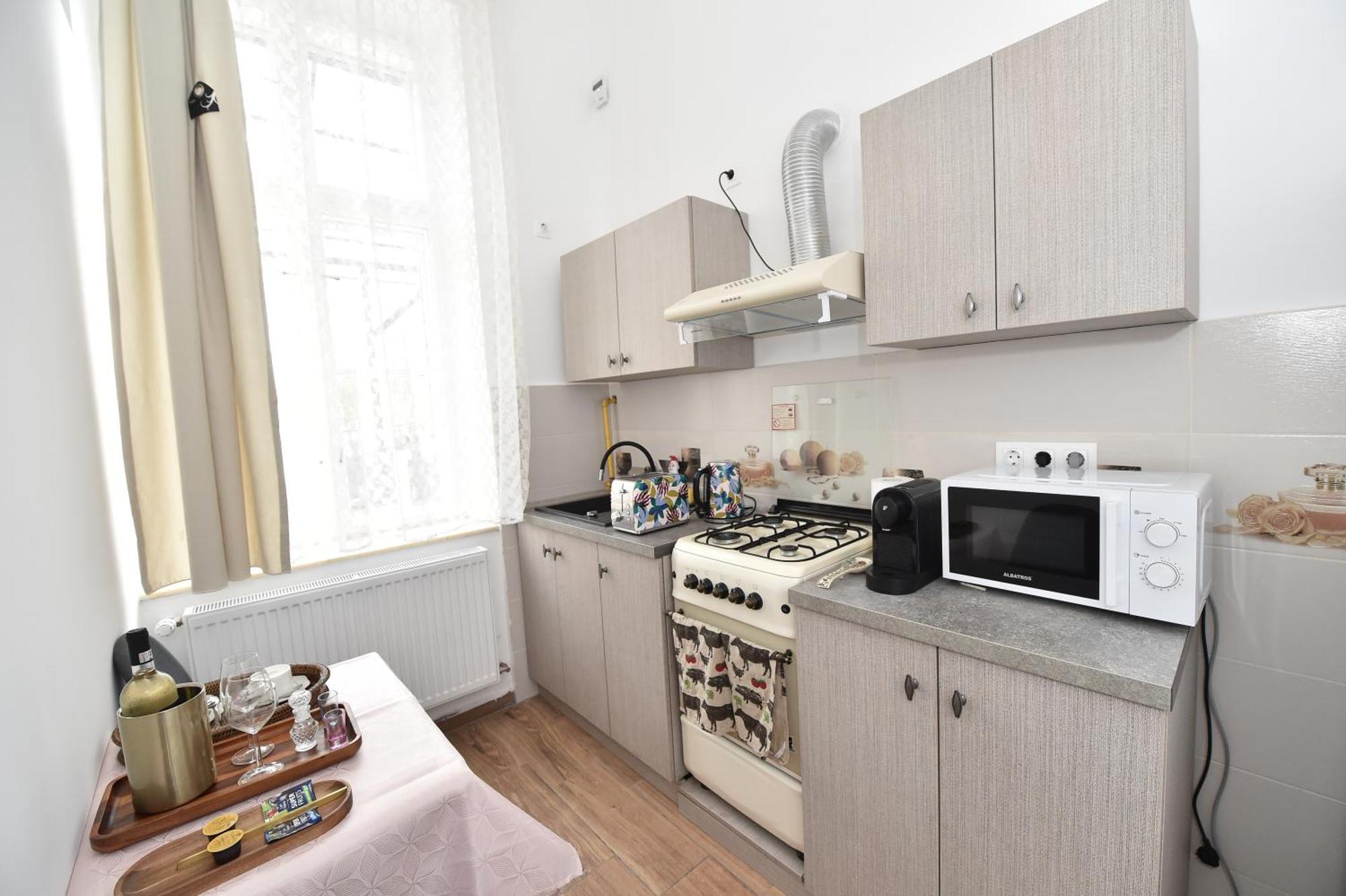Apartment Bliss House Primariei Oradea